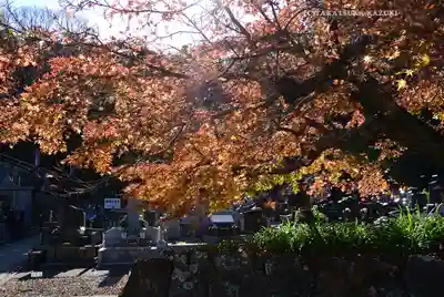 北條寺(静岡県)