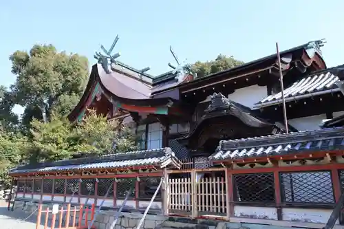 百舌鳥八幡宮の本殿