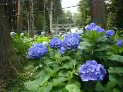 磯山神社の鳥居