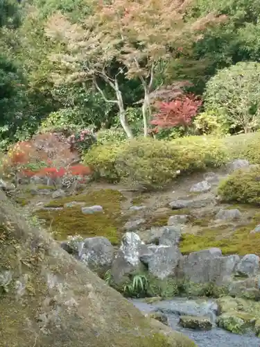 海蔵寺の景色