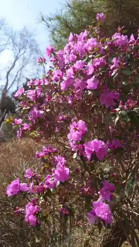 相馬神社(北海道)