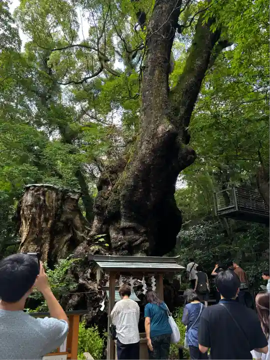 來宮神社(静岡県)