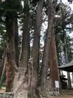 天神中條天満宮の{uncategorized: "未分類", other: "その他", undefined: "問題あり", building: "その他建物", grave: "お墓", sacred_gate: "鳥居", guardian: "狛犬", statue: "像", buddha: "仏像", history: "歴史", nature: "自然", garden: "庭園", animal: "動物", pagoda: "塔", temizu: "手水舎", mountain_gate: "山門・神門", sanctuary: "本殿・本堂", subordinate: "末社・摂社", art: "芸術", scenery: "景色", jizo: "地蔵", ema: "絵馬", goshuin: "御朱印", omikuji: "おみくじ", items: "授与品その他", amulet: "お守り", goshuincho: "御朱印帳", eats: "食事", festival: "お祭り", votive_dance: "神楽", shichigosan: "七五三参", wedding: "結婚式", experience: "体験その他", initially: "初詣", around: "周辺", anti_infection: "感染症対策"}