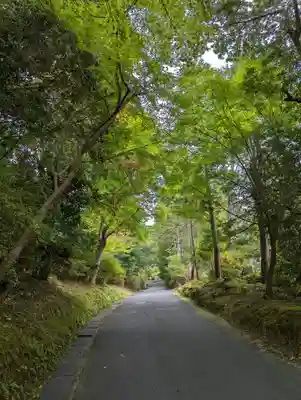 曼殊院門跡(京都府)