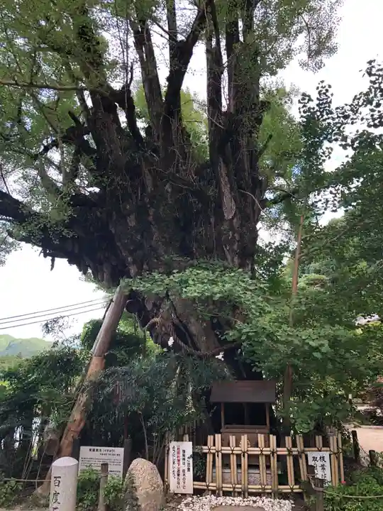 葛城一言主神社の自然