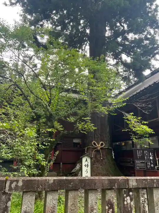 北口本宮冨士浅間神社(山梨県)