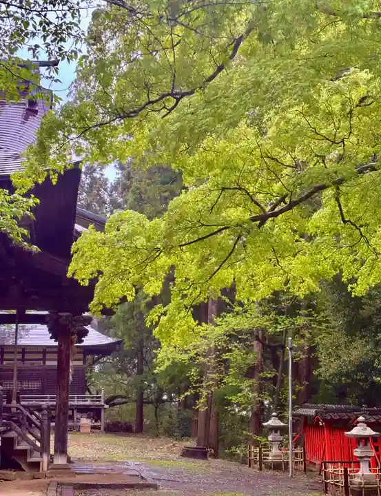 蚊里田八幡宮(長野県)