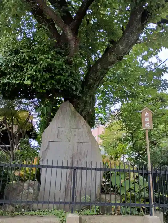 白山神社(東京都)