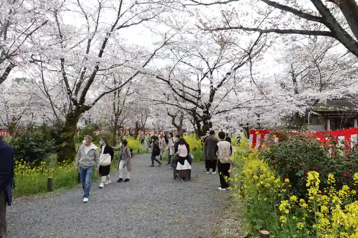 平野神社(京都府)