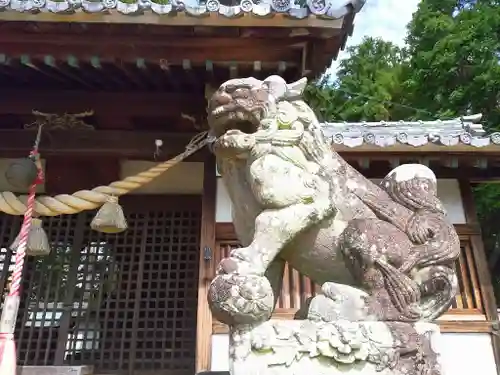 赤坂神社の狛犬