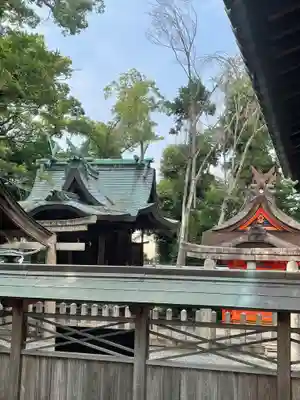 泉穴師神社(大阪府)