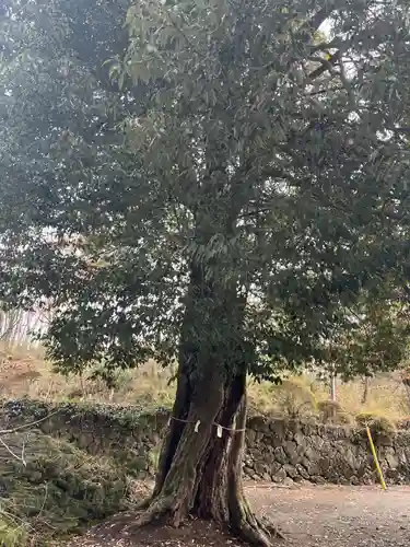 三峯神社(群馬県)