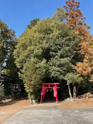 太部古天神社(岐阜県)