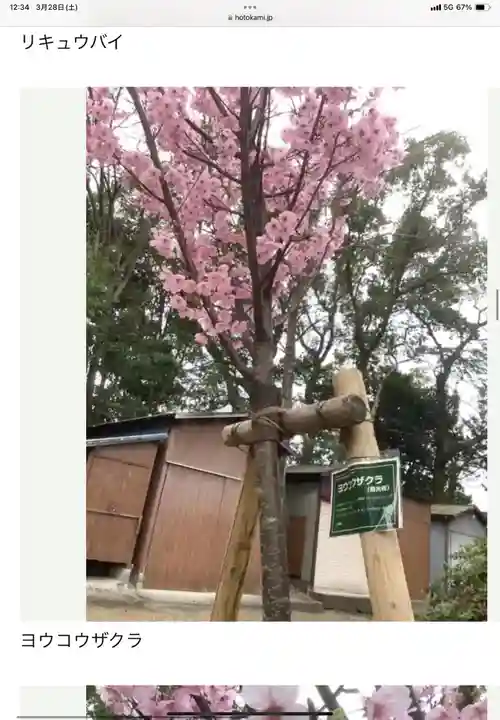 富部神社(愛知県)