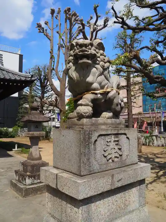 竹塚神社の狛犬