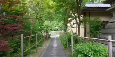 梨木神社(京都府)