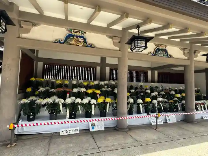 湯島天満宮(東京都)