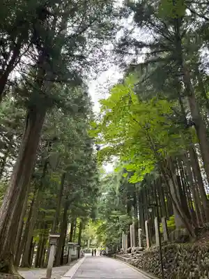三峯神社(埼玉県)