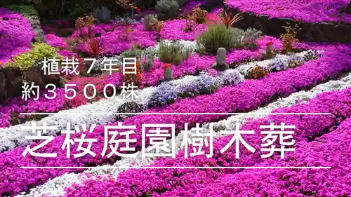 寿量山　速成寺(奈良県)