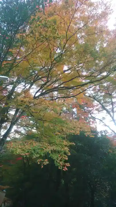 諏訪神社(鳥取県)