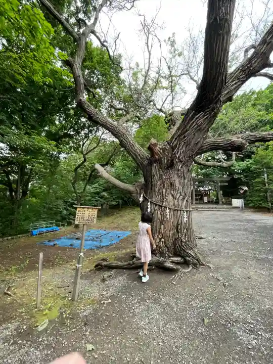 相馬神社(北海道)