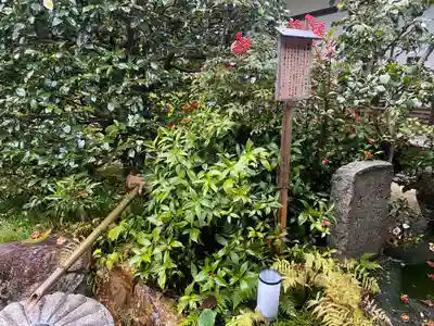 雲龍院(京都府)