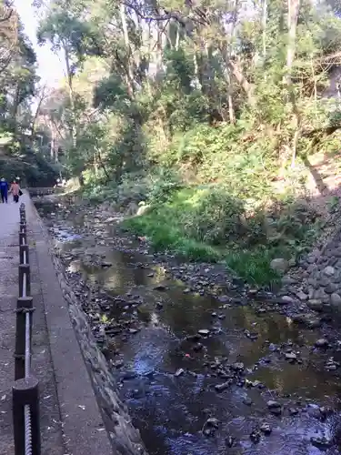 明王院（満願寺別院）の自然