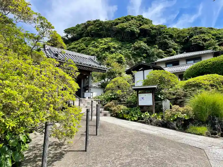 安養院 (田代寺)(神奈川県)