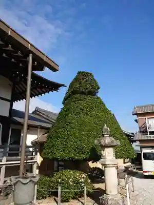 医王寺のその他建物