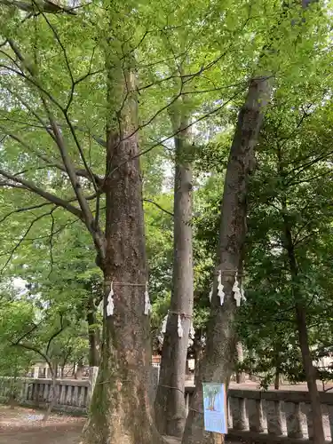 布多天神社の自然