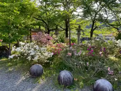 南法華寺（壷阪寺）の{uncategorized: "未分類", other: "その他", undefined: "問題あり", building: "その他建物", grave: "お墓", sacred_gate: "鳥居", guardian: "狛犬", statue: "像", buddha: "仏像", history: "歴史", nature: "自然", garden: "庭園", animal: "動物", pagoda: "塔", temizu: "手水舎", mountain_gate: "山門・神門", sanctuary: "本殿・本堂", subordinate: "末社・摂社", art: "芸術", scenery: "景色", jizo: "地蔵", ema: "絵馬", goshuin: "御朱印", omikuji: "おみくじ", items: "授与品その他", amulet: "お守り", goshuincho: "御朱印帳", eats: "食事", festival: "お祭り", votive_dance: "神楽", shichigosan: "七五三参", wedding: "結婚式", experience: "体験その他", initially: "初詣", around: "周辺", anti_infection: "感染症対策"}