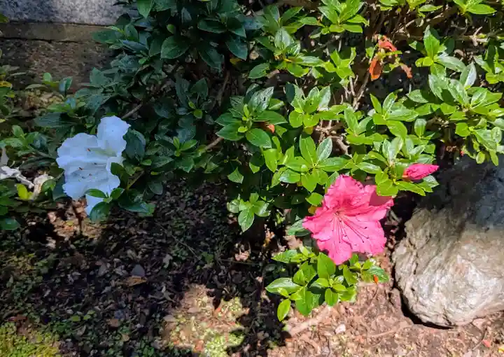 本輪西八幡神社(北海道)