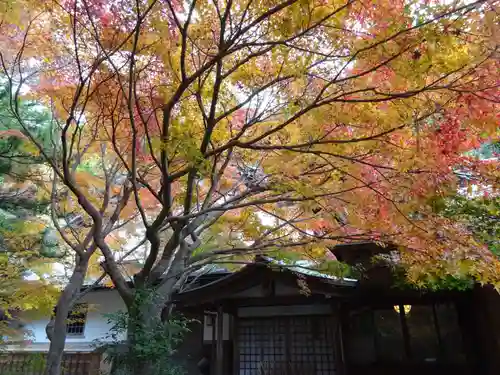 覚園寺(神奈川県)