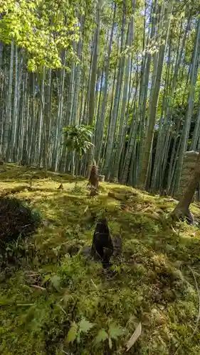 圓光寺(京都府)