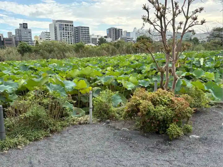寛永寺不忍池弁天堂(東京都)