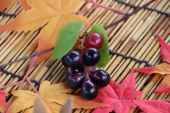 阿邪訶根神社の手水舎