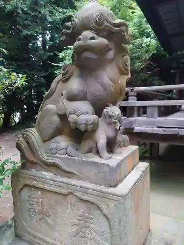 冨塚八幡宮の狛犬