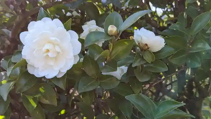 光悦寺(京都府)