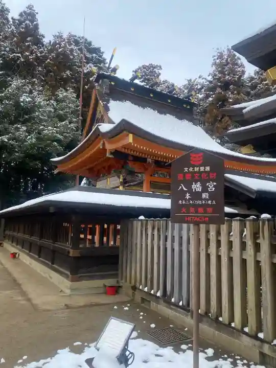 水戸八幡宮の{uncategorized: "未分類", other: "その他", undefined: "問題あり", building: "その他建物", grave: "お墓", sacred_gate: "鳥居", guardian: "狛犬", statue: "像", buddha: "仏像", history: "歴史", nature: "自然", garden: "庭園", animal: "動物", pagoda: "塔", temizu: "手水舎", mountain_gate: "山門・神門", sanctuary: "本殿・本堂", subordinate: "末社・摂社", art: "芸術", scenery: "景色", jizo: "地蔵", ema: "絵馬", goshuin: "御朱印", omikuji: "おみくじ", items: "授与品その他", amulet: "お守り", goshuincho: "御朱印帳", eats: "食事", festival: "お祭り", votive_dance: "神楽", shichigosan: "七五三参", wedding: "結婚式", experience: "体験その他", initially: "初詣", around: "周辺", anti_infection: "感染症対策"}