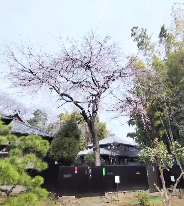南蔵院の{uncategorized: "未分類", other: "その他", undefined: "問題あり", building: "その他建物", grave: "お墓", sacred_gate: "鳥居", guardian: "狛犬", statue: "像", buddha: "仏像", history: "歴史", nature: "自然", garden: "庭園", animal: "動物", pagoda: "塔", temizu: "手水舎", mountain_gate: "山門・神門", sanctuary: "本殿・本堂", subordinate: "末社・摂社", art: "芸術", scenery: "景色", jizo: "地蔵", ema: "絵馬", goshuin: "御朱印", omikuji: "おみくじ", items: "授与品その他", amulet: "お守り", goshuincho: "御朱印帳", eats: "食事", festival: "お祭り", votive_dance: "神楽", shichigosan: "七五三参", wedding: "結婚式", experience: "体験その他", initially: "初詣", around: "周辺", anti_infection: "感染症対策"}