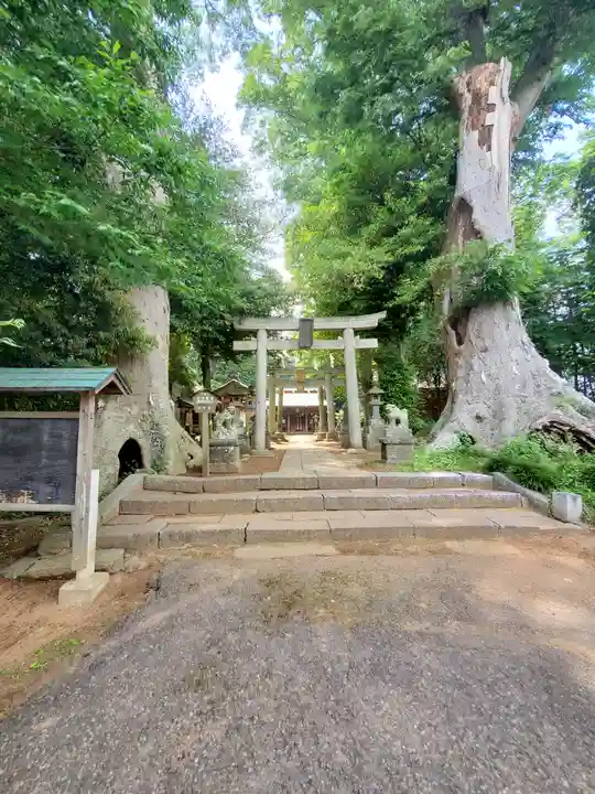 藤岡神社(栃木県)