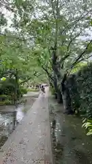 極楽寺（霊鷲山感應院極楽律寺）の景色