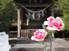 今市報徳二宮神社(栃木県)