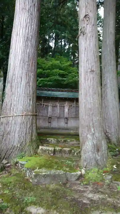 売布神社の自然