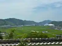薬師寺(高知県)