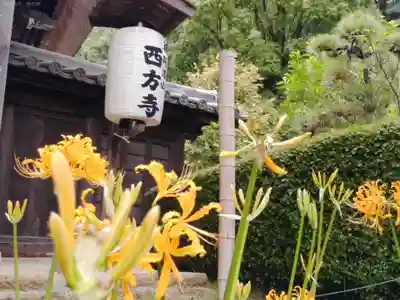 横浜　西方寺のその他建物