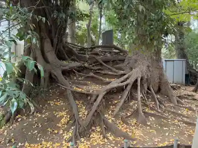 八坂神社(千葉県)