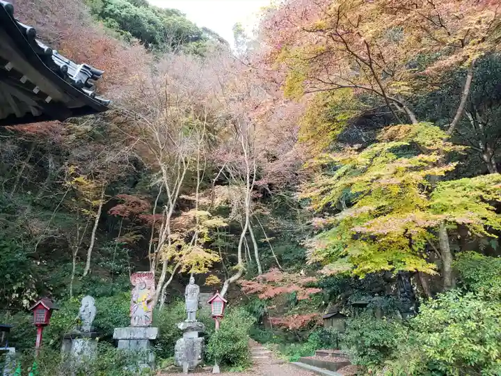 御橋観音寺の周辺