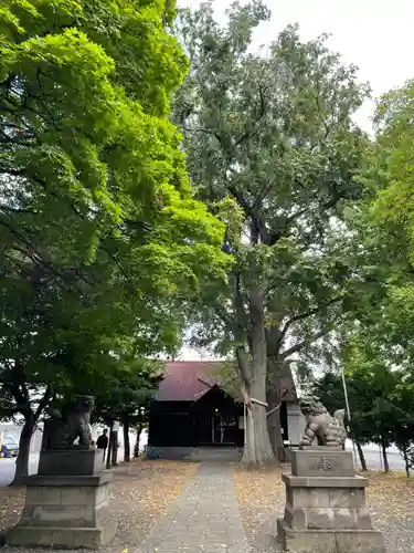 中の島神社(北海道)