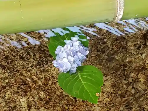 西宮神社の手水